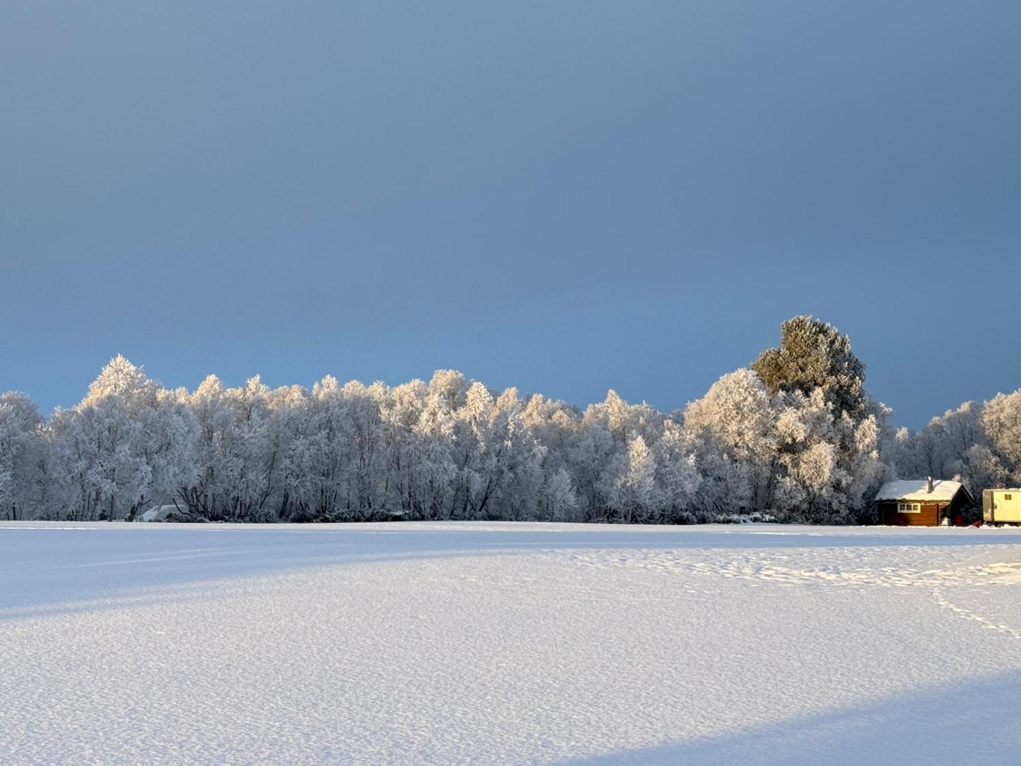TolgaEscapade Norvegienneアパートメント エクステリア 写真