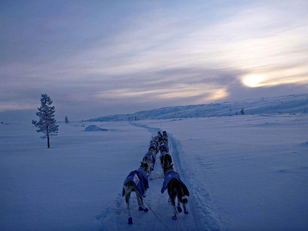 TolgaEscapade Norvegienneアパートメント エクステリア 写真