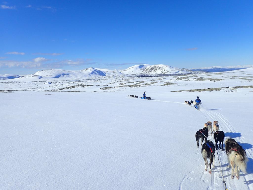TolgaEscapade Norvegienneアパートメント エクステリア 写真